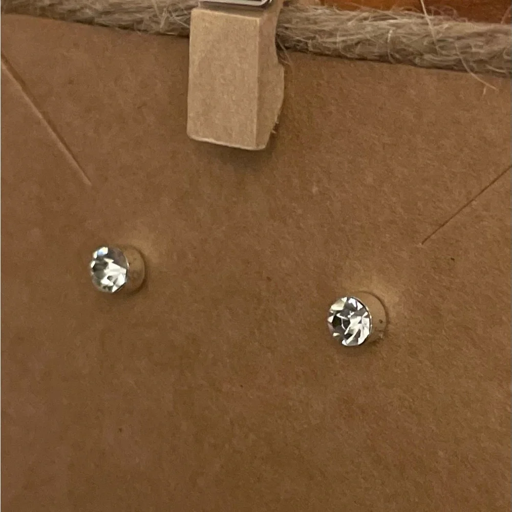 Chic Silver Crystal Stud Earrings